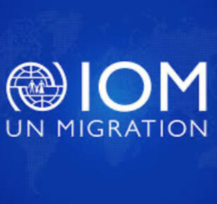 IOM UN Migration - IOM